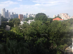 The Oxley (D9), Apartment #149131152
